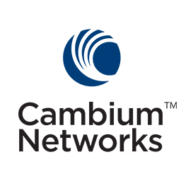 cambium